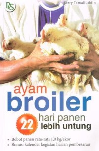 Ayam broiler, 22 hari panen lebih untung