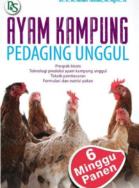Ayam Kampung Pedaging Unggul