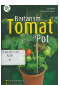 Bertanam Tomat di Pot