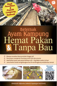 Beternak Ayam Kampung Hemat Pakan & Tanpa Bau