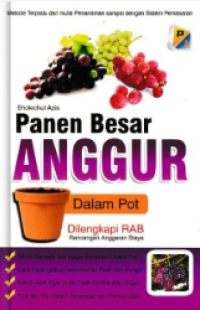 Panen Besar Anggur Dalam Pot