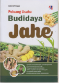 Peluang Usaha Budidaya Jahe