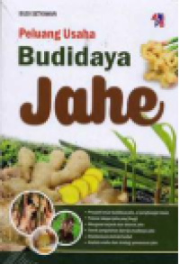 Peluang Usaha Budidaya Jahe